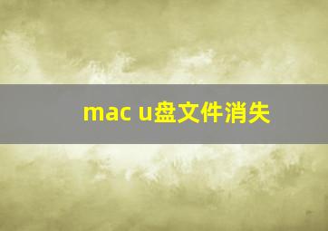 mac u盘文件消失